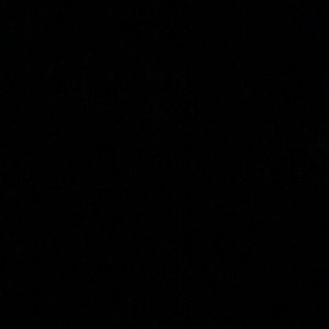 Meet your Posher, Korina